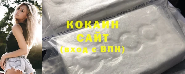 МДПВ Гусев