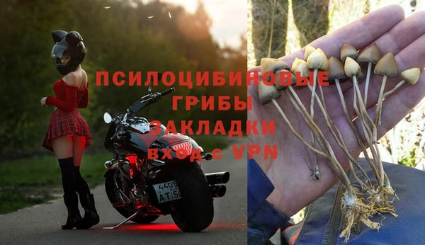 мет Горно-Алтайск