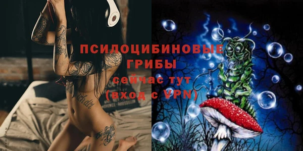 МДПВ Гусев