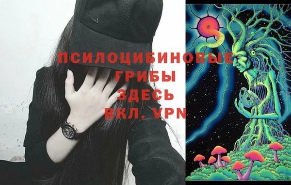 apvp Гусиноозёрск