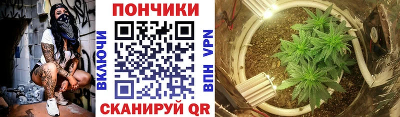 Бошки Шишки индика  наркошоп  Теберда 